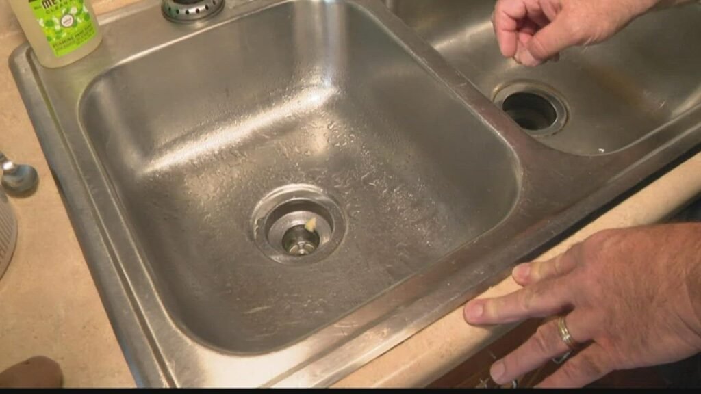 Say Goodbye to Pesky Drain Flies: Your Ultimate Guide