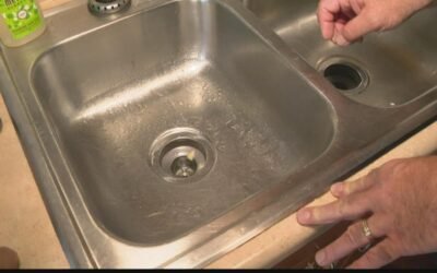 Say Goodbye to Pesky Drain Flies: Your Ultimate Guide